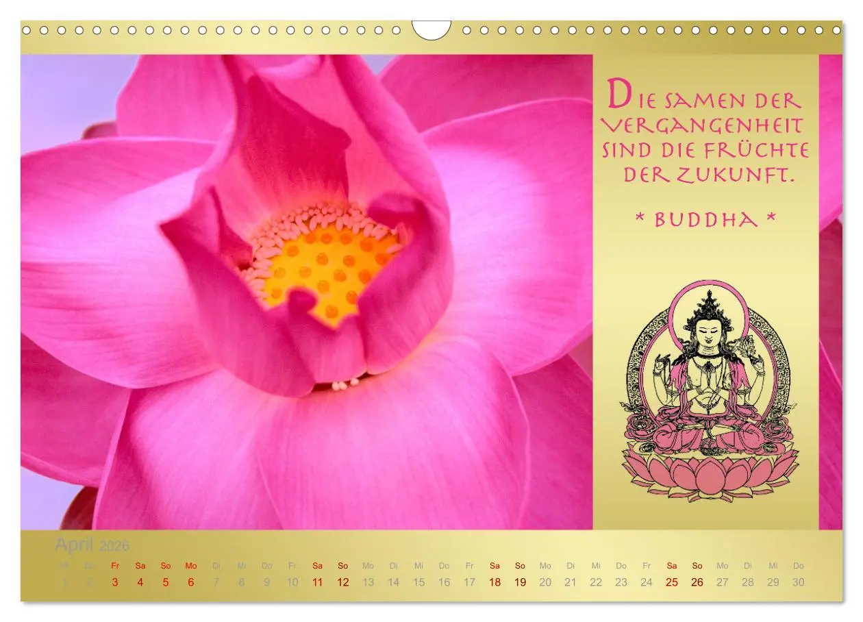 Bild: 9783457647516 | BUDDHA IM GLÜCK - Buddhistische Weisheiten (Wandkalender 2026 DIN...