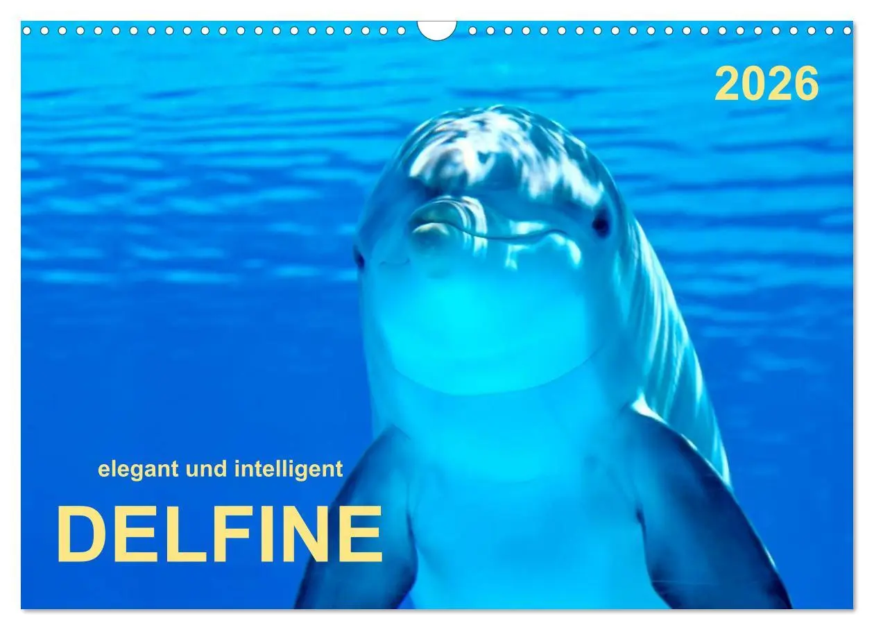 Cover: 9783516047516 | Delfine - elegant und intelligent (Wandkalender 2026 DIN A3 quer),...