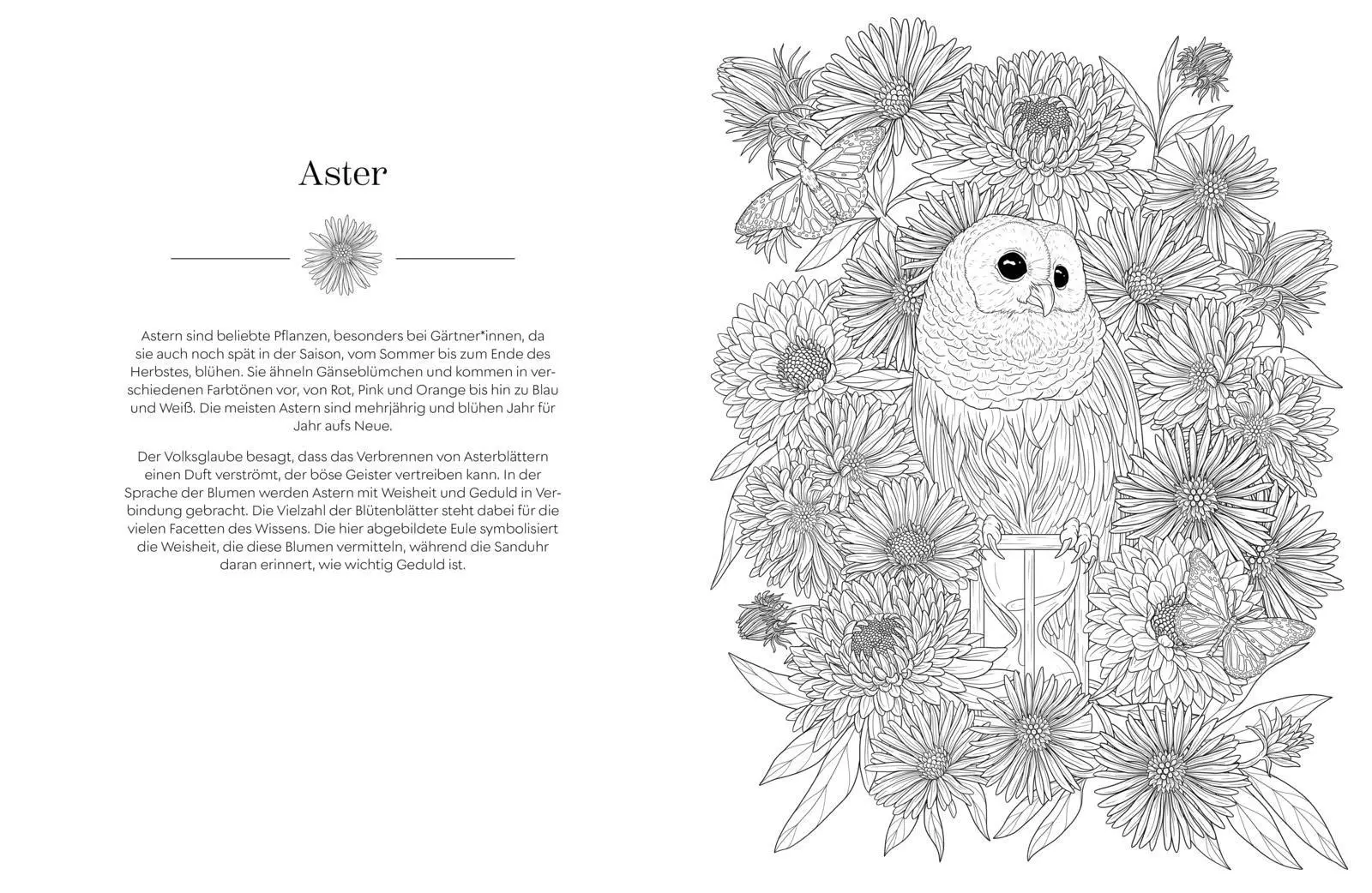 Bild: 9783747407516 | Geheimnisvoller Blütenzauber zum Ausmalen | Stratten Peterson | Buch