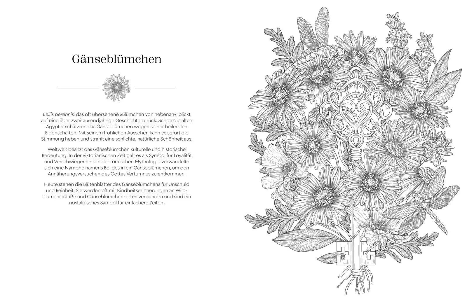 Bild: 9783747407516 | Geheimnisvoller Blütenzauber zum Ausmalen | Stratten Peterson | Buch