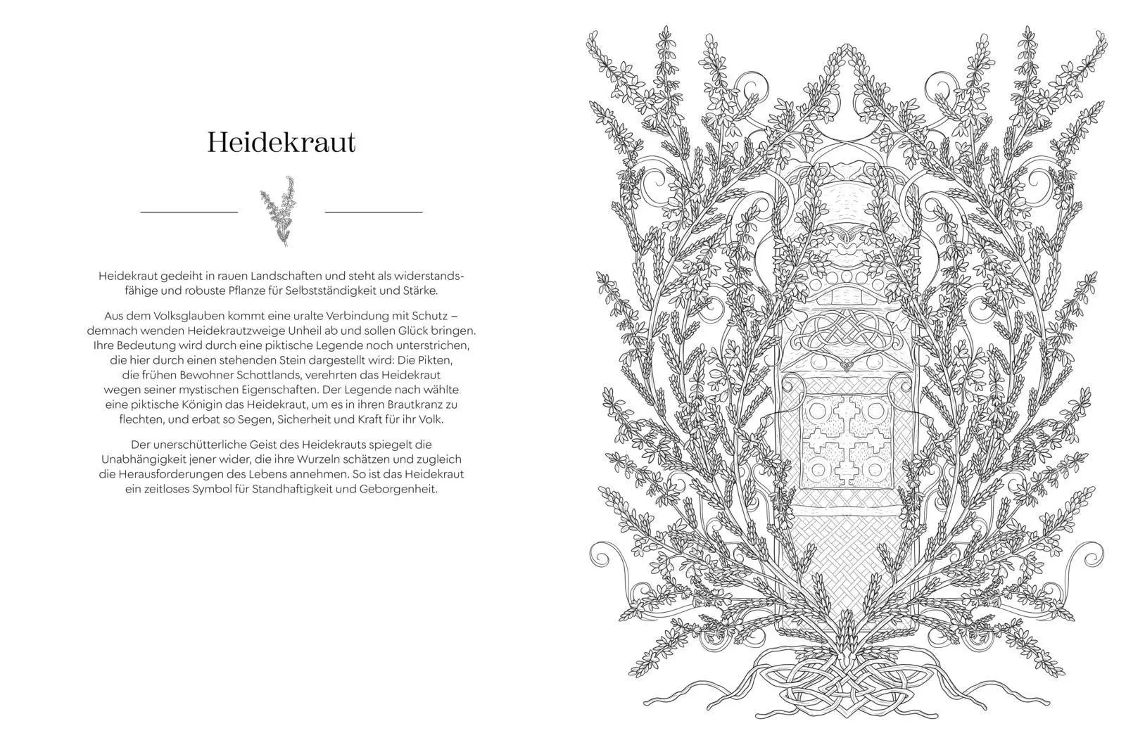 Bild: 9783747407516 | Geheimnisvoller Blütenzauber zum Ausmalen | Stratten Peterson | Buch