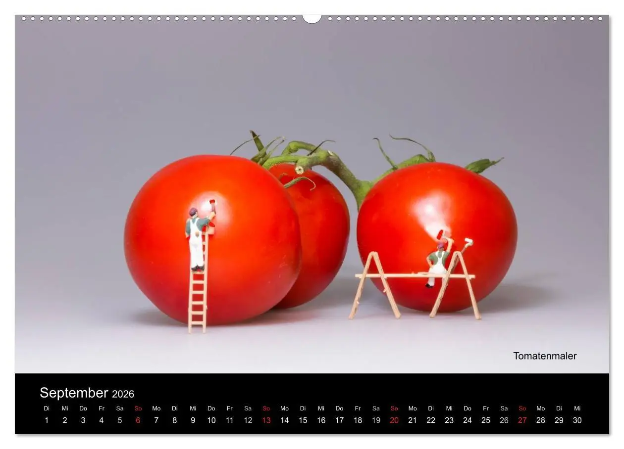 Bild: 9783516037616 | Tomatenmaler ... und andere Mini-Welten (hochwertiger Premium...
