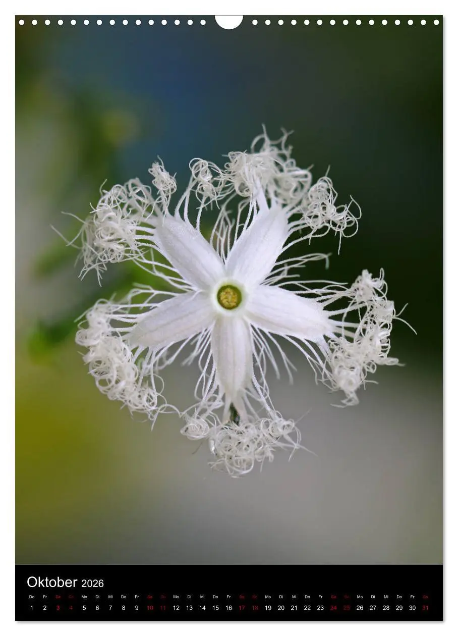 Bild: 9783516417616 | Ganz nah an der Natur (Wandkalender 2026 DIN A3 hoch), CALVENDO...