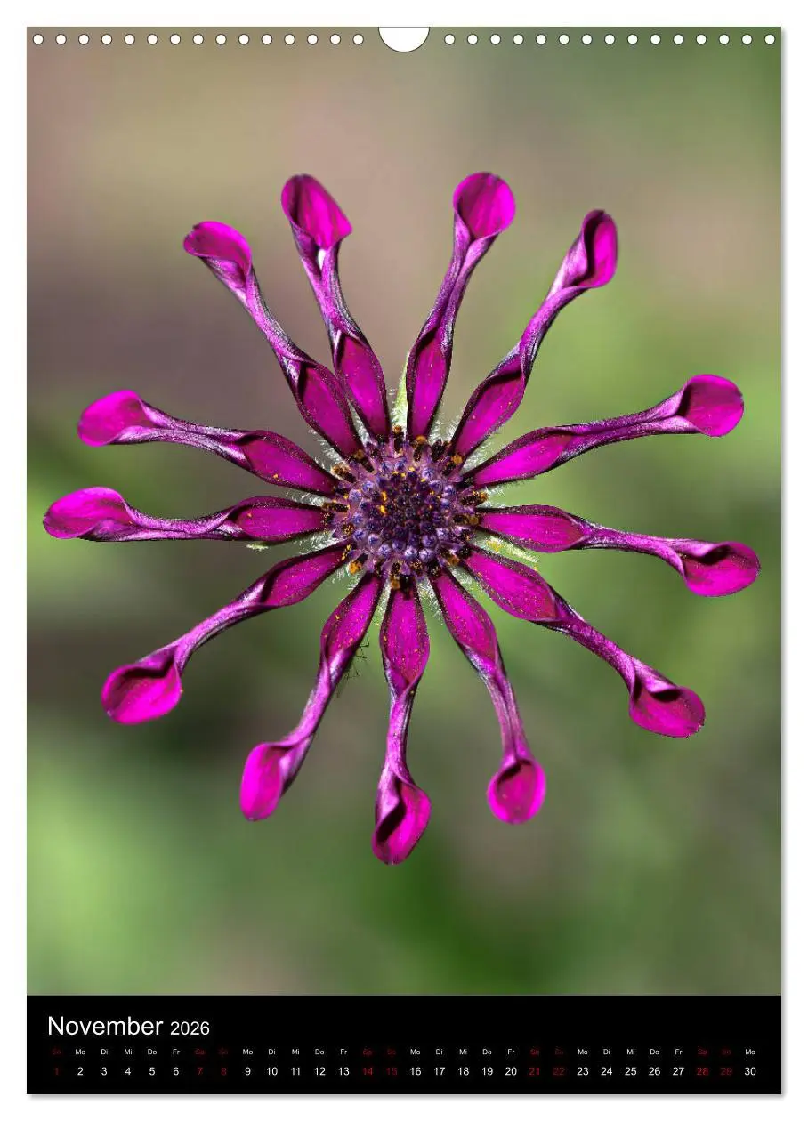 Bild: 9783516417616 | Ganz nah an der Natur (Wandkalender 2026 DIN A3 hoch), CALVENDO...