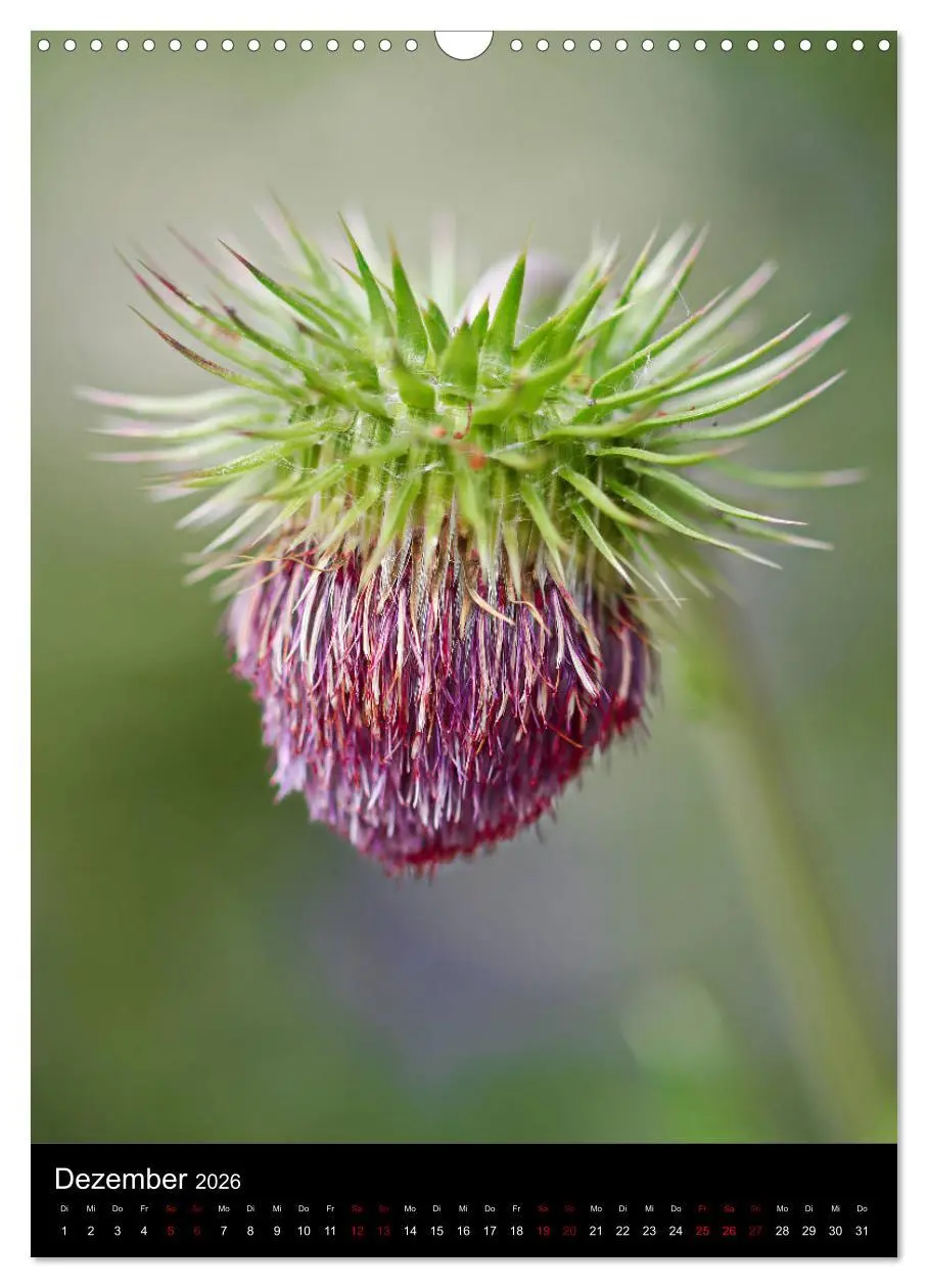 Bild: 9783516417616 | Ganz nah an der Natur (Wandkalender 2026 DIN A3 hoch), CALVENDO...