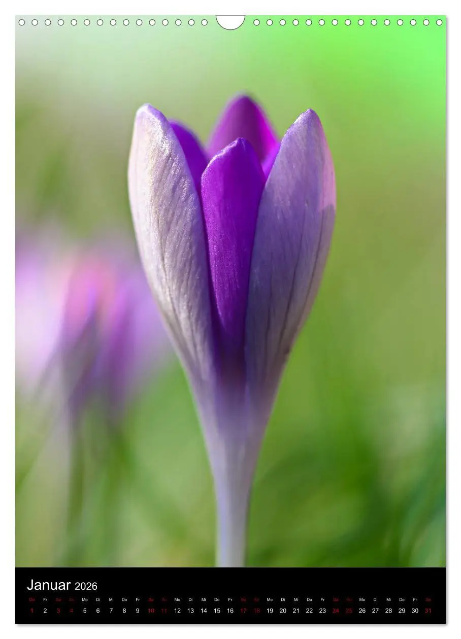 Bild: 9783516417616 | Ganz nah an der Natur (Wandkalender 2026 DIN A3 hoch), CALVENDO...