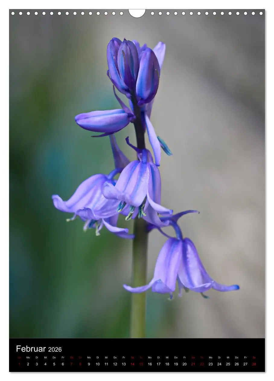 Bild: 9783516417616 | Ganz nah an der Natur (Wandkalender 2026 DIN A3 hoch), CALVENDO...