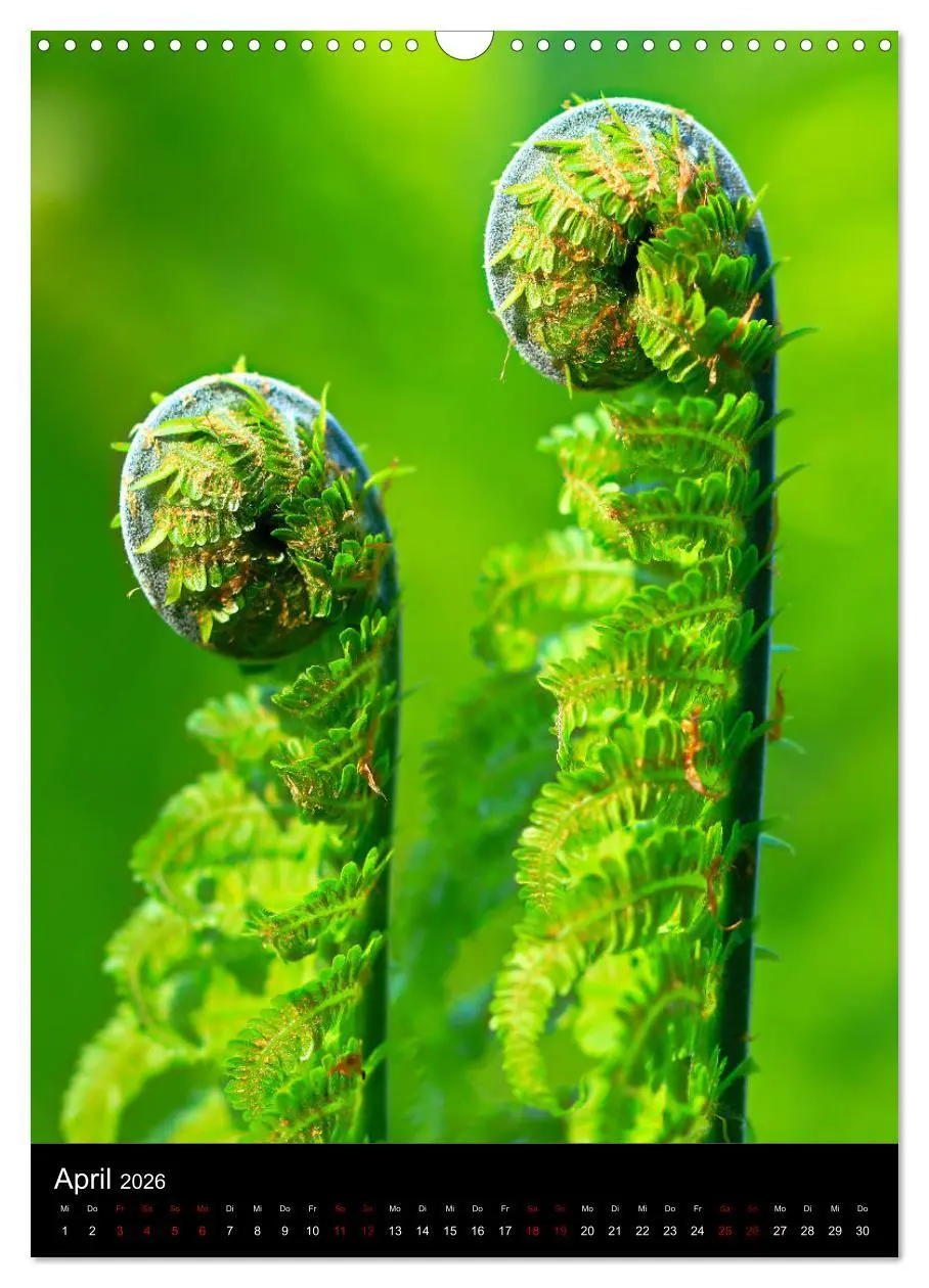 Bild: 9783516417616 | Ganz nah an der Natur (Wandkalender 2026 DIN A3 hoch), CALVENDO...