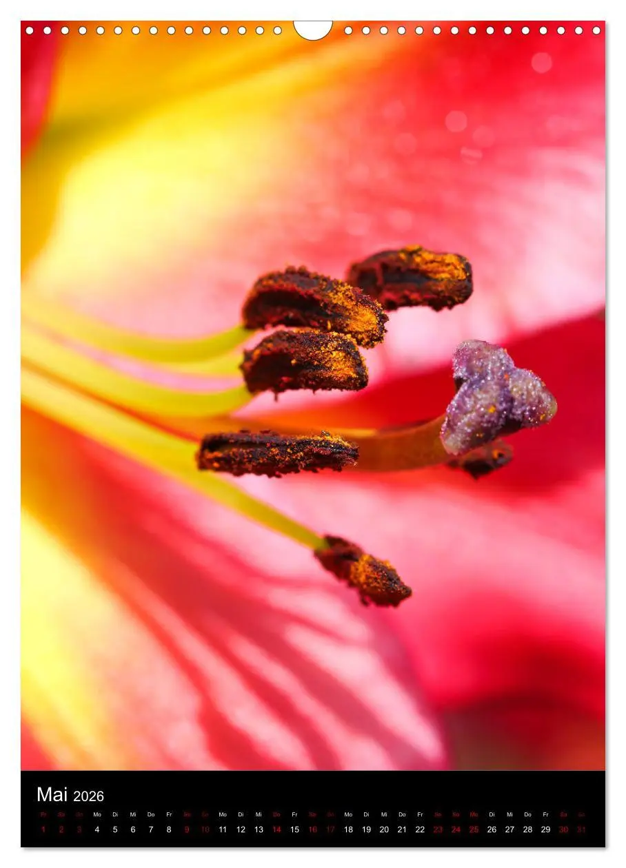 Bild: 9783516417616 | Ganz nah an der Natur (Wandkalender 2026 DIN A3 hoch), CALVENDO...