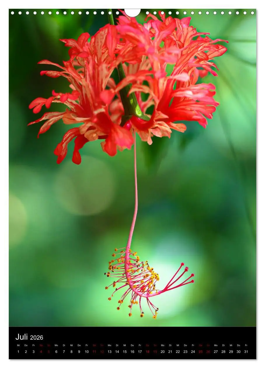 Bild: 9783516417616 | Ganz nah an der Natur (Wandkalender 2026 DIN A3 hoch), CALVENDO...