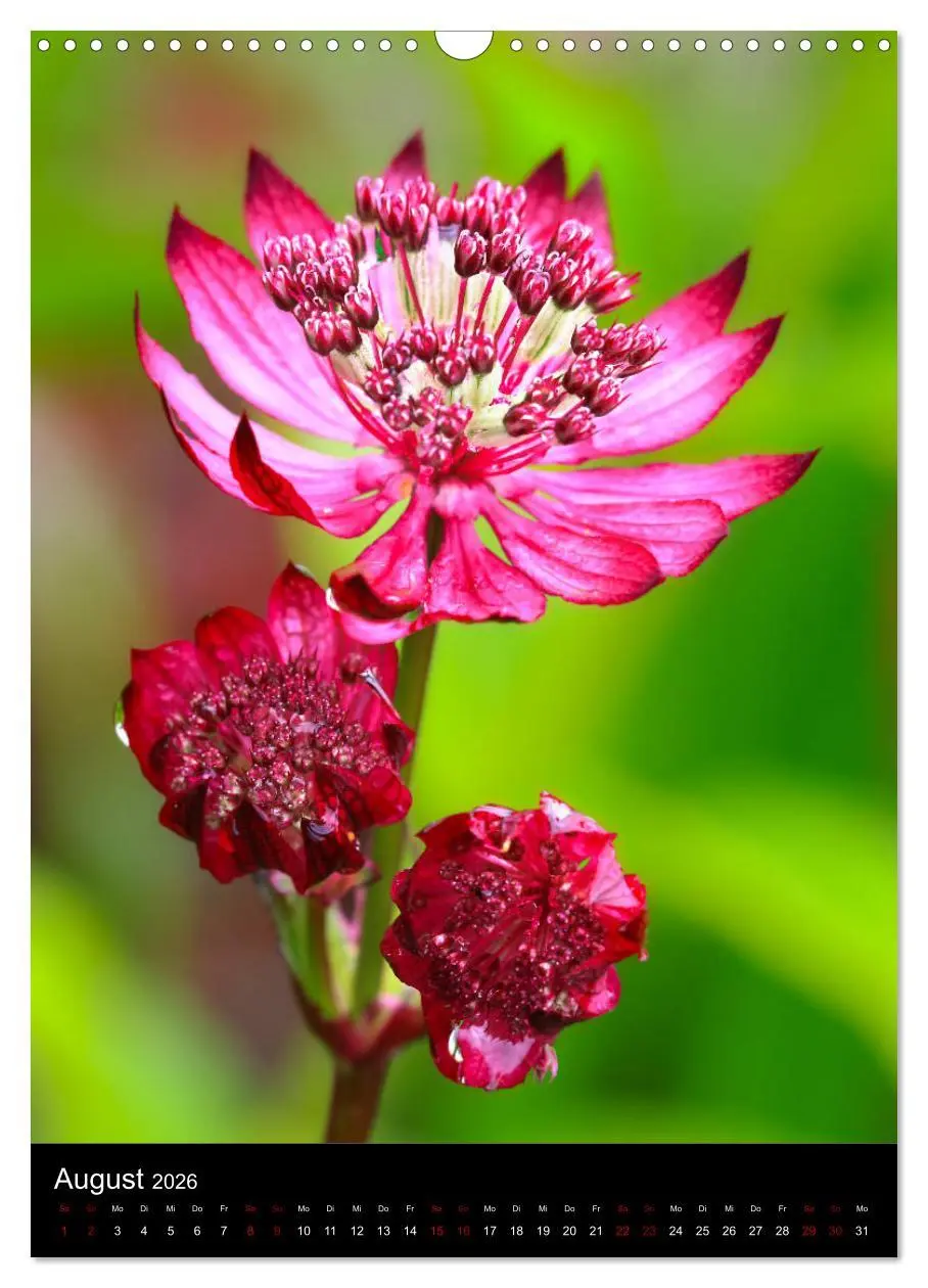 Bild: 9783516417616 | Ganz nah an der Natur (Wandkalender 2026 DIN A3 hoch), CALVENDO...
