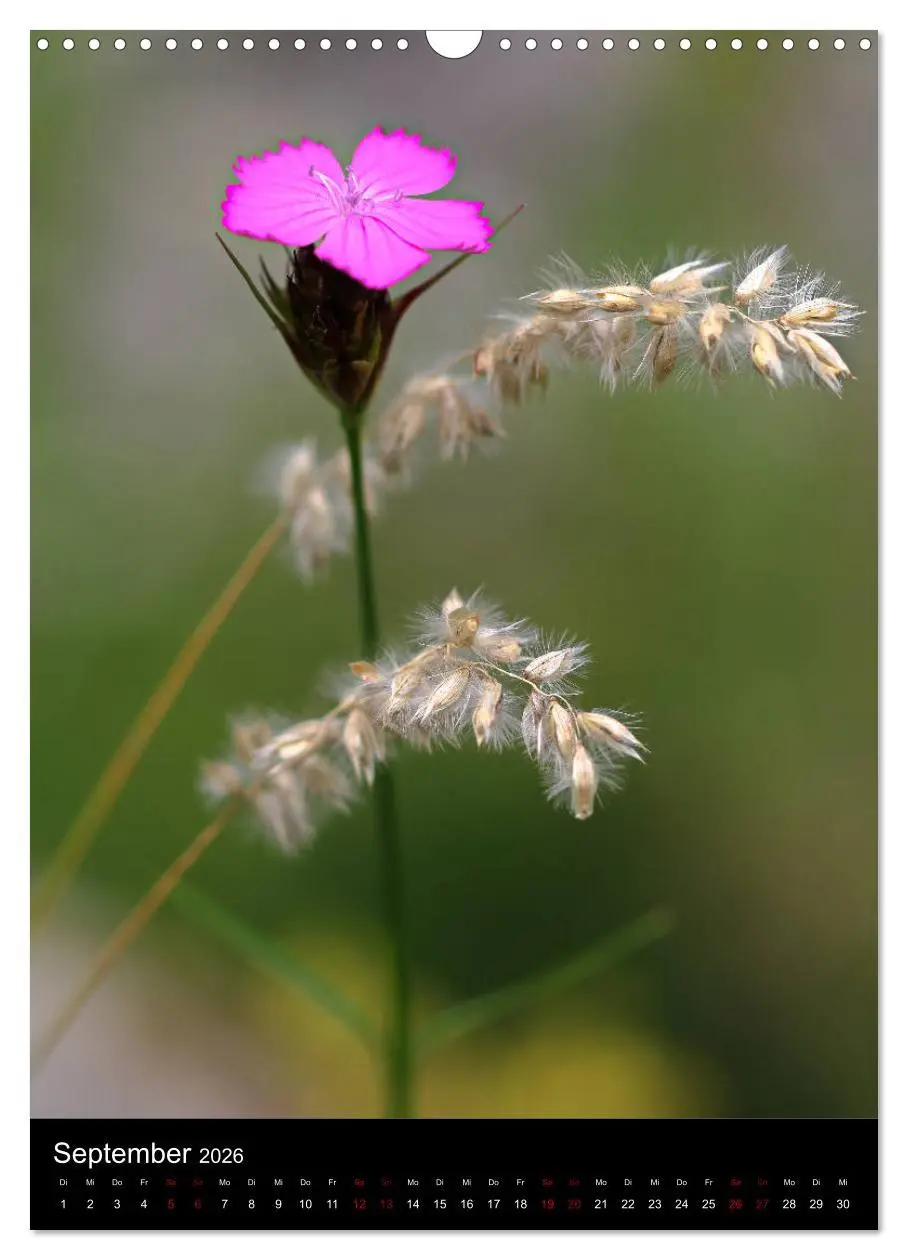 Bild: 9783516417616 | Ganz nah an der Natur (Wandkalender 2026 DIN A3 hoch), CALVENDO...