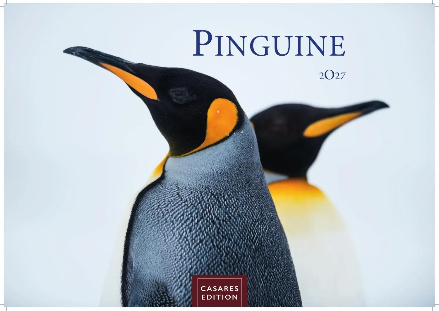 Cover: 9781835247716 | Pinguine Kalender 2027 - Wandkalender Fotokalender Tierkalender...