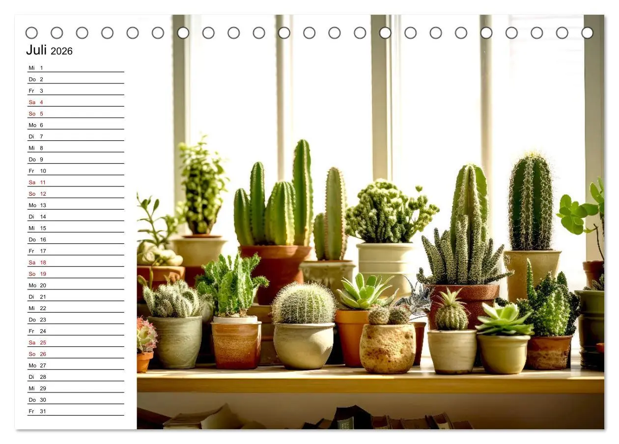 Bild: 9783457487716 | Kaktuszauberland (Tischkalender 2026 DIN A5 quer), CALVENDO...