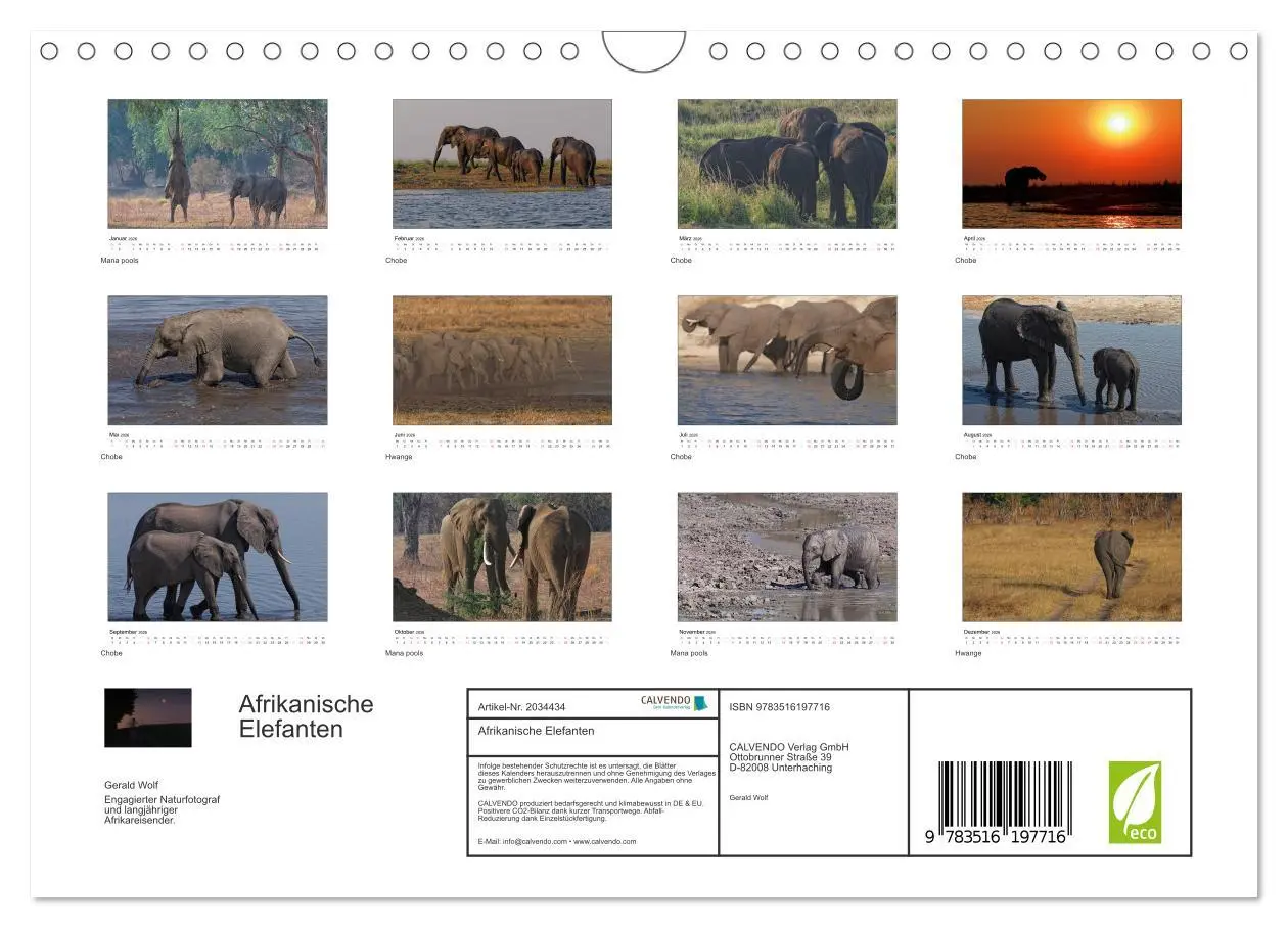 Bild: 9783516197716 | Afrikanische Elefanten (Wandkalender 2026 DIN A4 quer), CALVENDO...