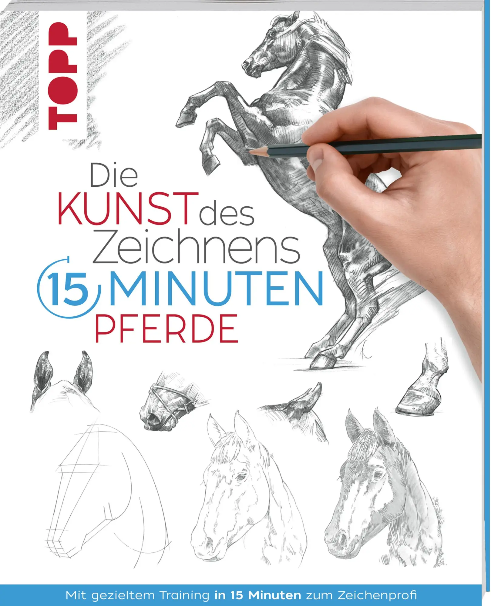 Cover: 9783772447716 | Die Kunst des Zeichnens 15 Minuten - Pferde | Frechverlag | Buch