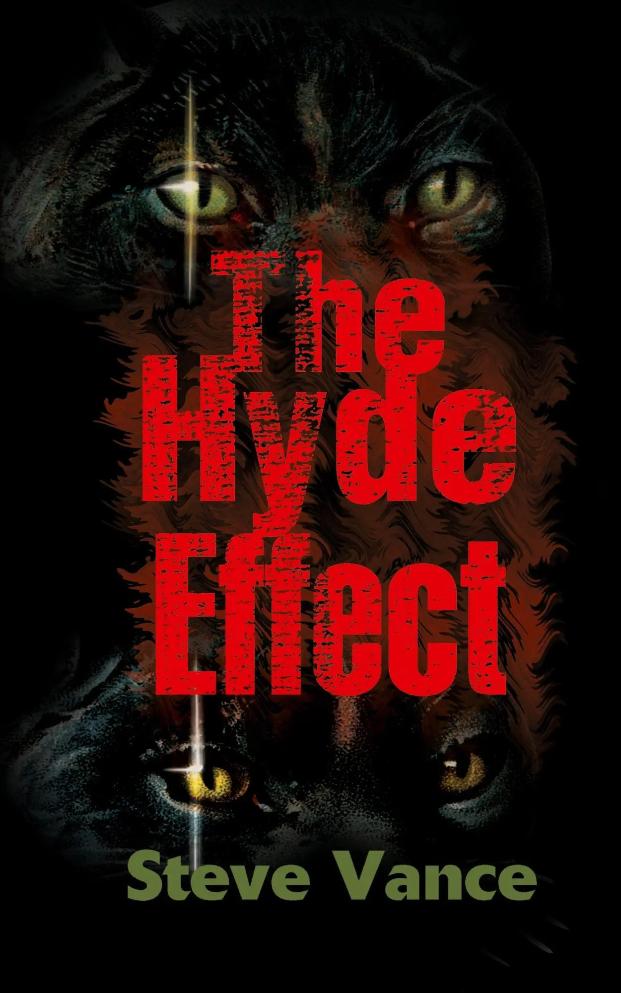 Cover: 9780595147816 | The Hyde Effect | Steve Vance | Taschenbuch | Kartoniert / Broschiert