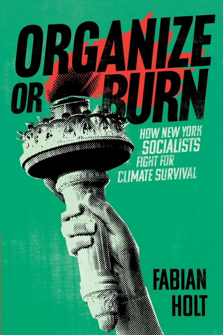 Cover: 9781479837816 | Organize or Burn | How New York Socialists Fight for Climate Survival