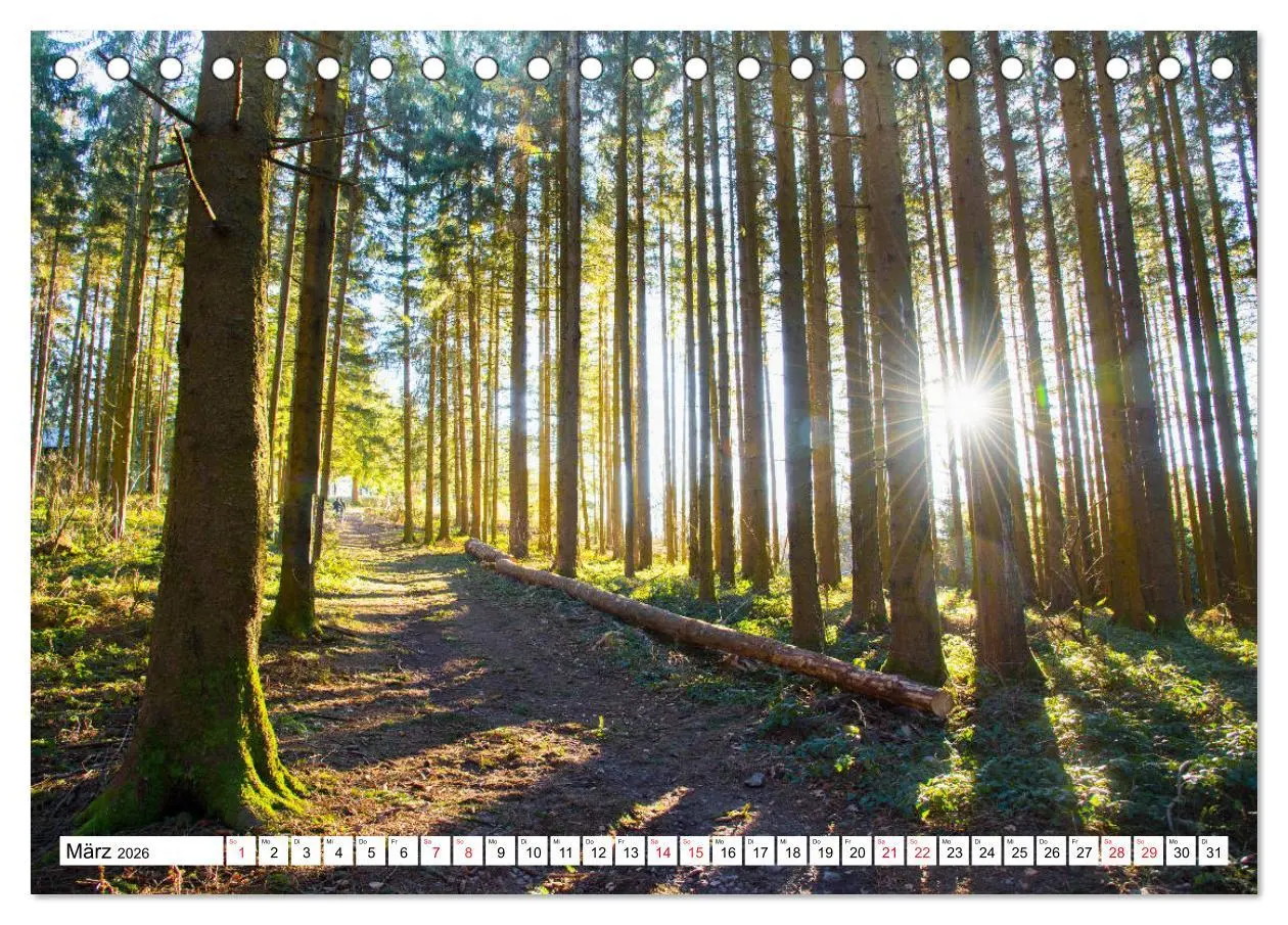 Bild: 9783457777916 | Idyllischer Schwarzwald (Tischkalender 2026 DIN A5 quer), CALVENDO...