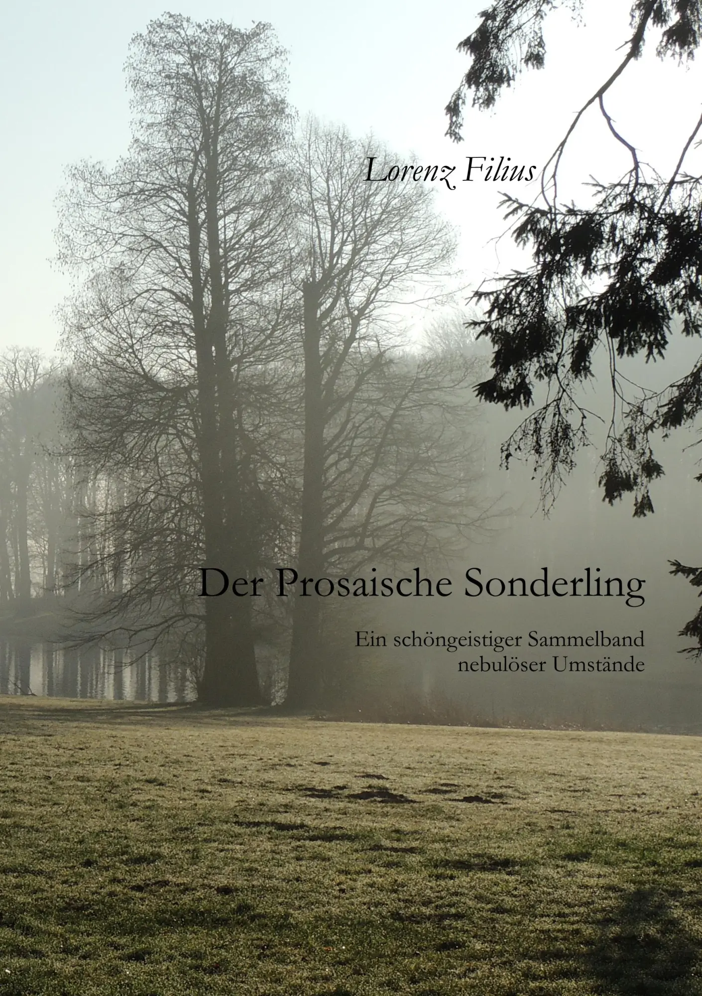 Cover: 9783749447916 | Der prosaische Sonderling | Lorenz Filius | Taschenbuch | 372 S.