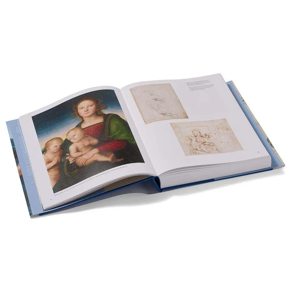 Bild: 9781588398116 | Raphael | Sublime Poetry | Carmen C. Bambach | Buch | Englisch | 2026