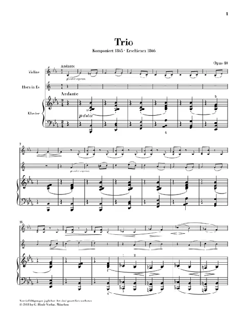 Bild: 9790201808116 | Johannes Brahms - Horntrio Es-dur op. 40 | Katharina Loose-Einfalt