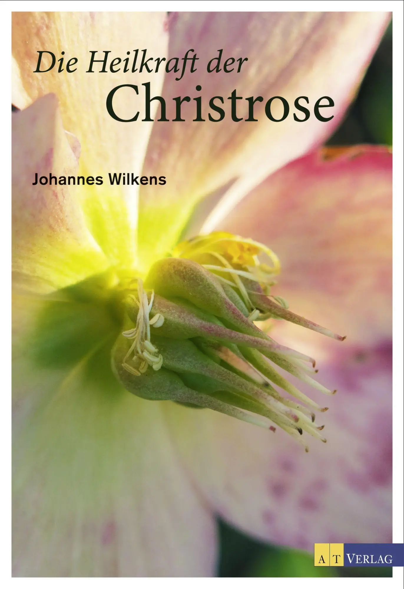 Cover: 9783038008316 | Die Heilkraft der Christrose | Johannes Wilkens | Buch | 144 S. | 2014