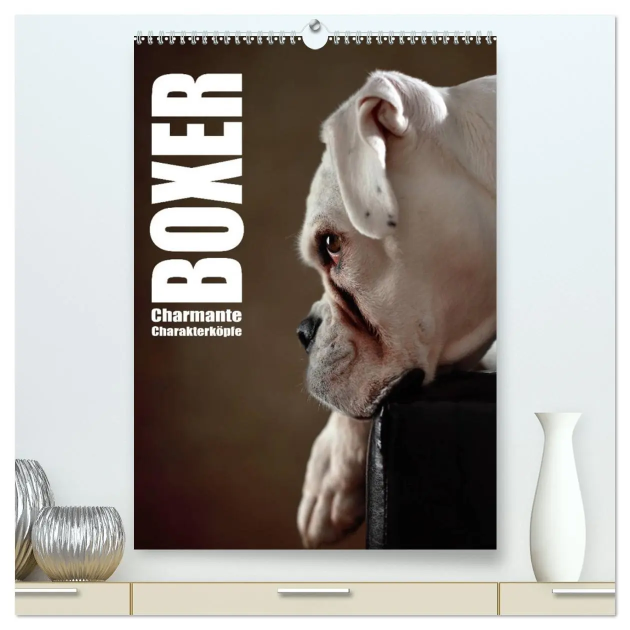 Cover: 9783516418316 | Boxer - Charmante Charakterköpfe (hochwertiger Premium Wandkalender...