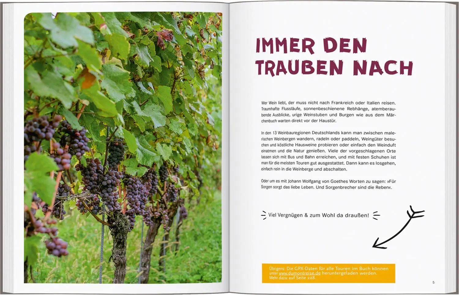 Bild: 9783616028316 | 52 kleine &amp; große Eskapaden in Deutschland - Für Weinliebhaber | Buch