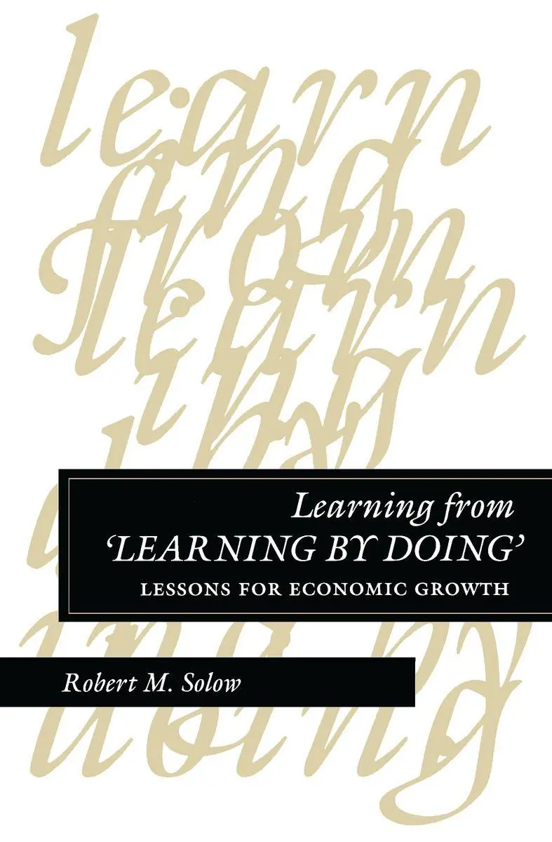 Cover: 9780804728416 | Learning from 'Learning by Doing' | Lessons for Economic Growth | Buch