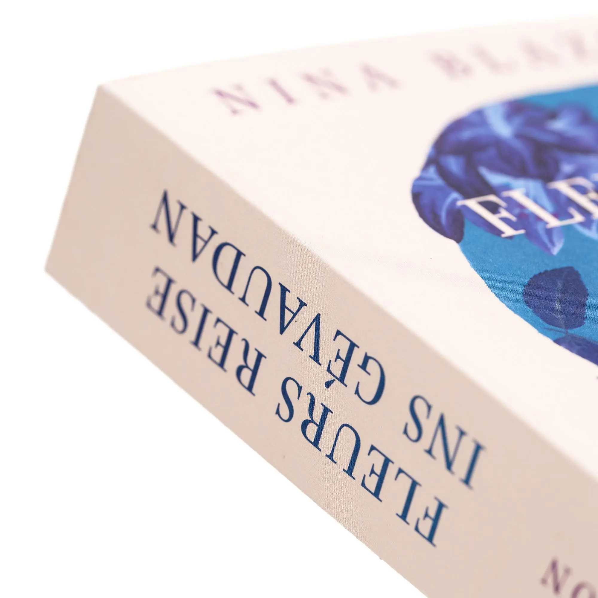 Bild: 9783365008416 | Fleurs Reise ins Gévaudan | Nina Blazon | Taschenbuch | 448 S. | 2024