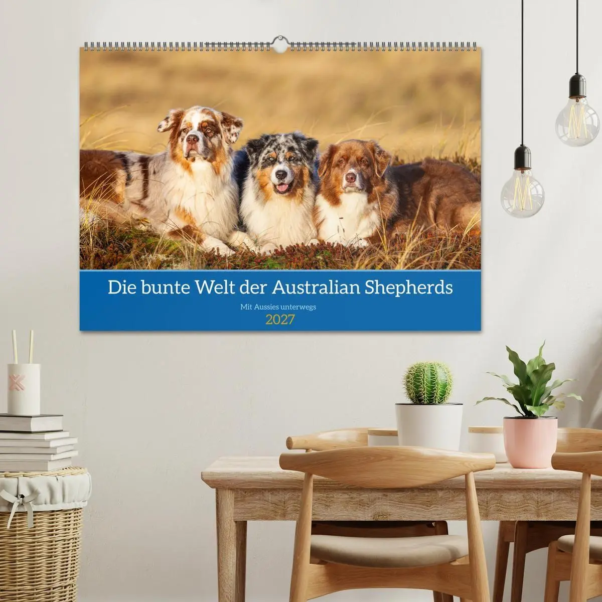 Bild: 9783594178416 | Mit Aussies unterwegs - Die bunte Welt der Australian Shepherds...