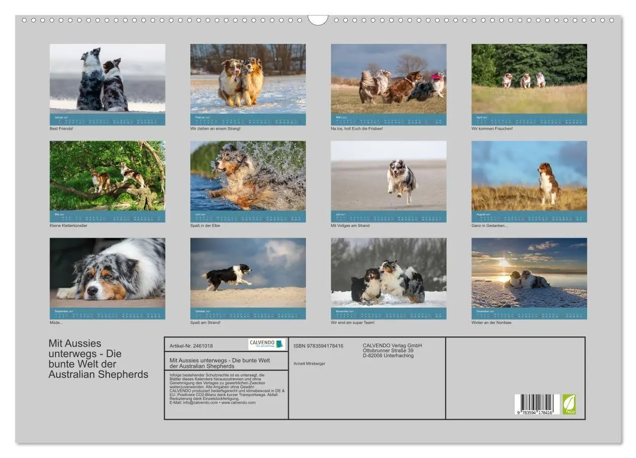 Bild: 9783594178416 | Mit Aussies unterwegs - Die bunte Welt der Australian Shepherds...