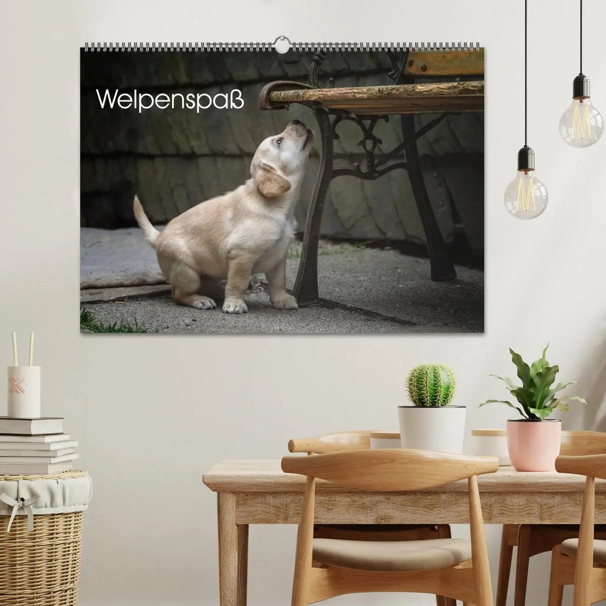 Bild: 9783516188516 | Welpenspaß (Wandkalender 2026 DIN A2 quer), CALVENDO Monatskalender