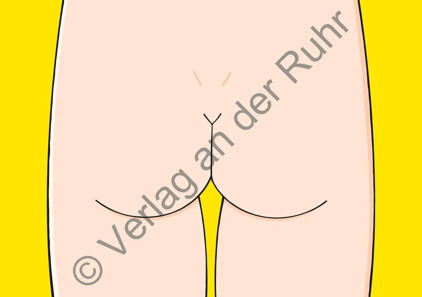 Bild: 9783834668516 | Mein Körper | Anja Boretzki | Box | 32 S. | Deutsch | 2025