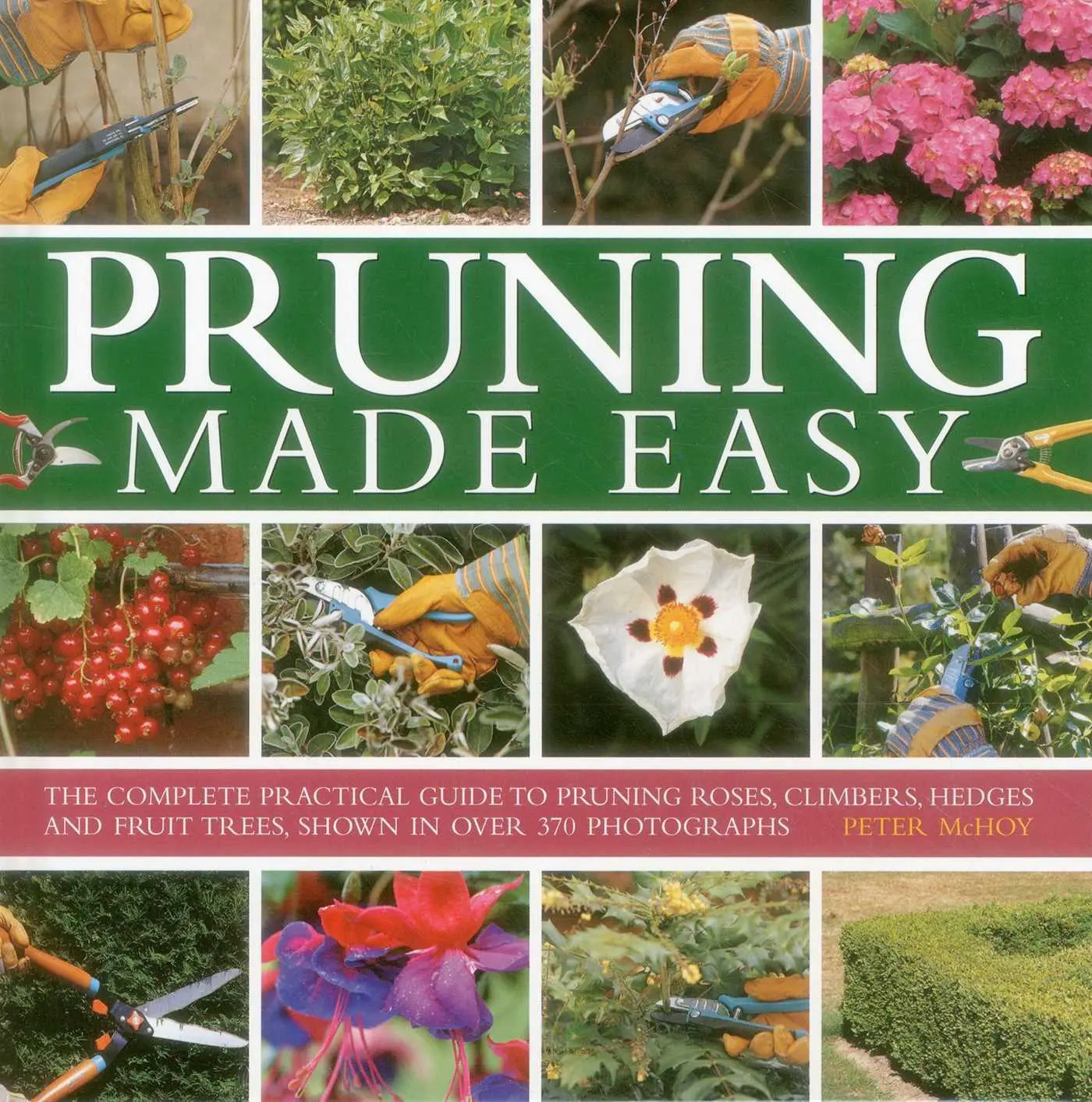 Cover: 9780754828716 | Pruning Made Easy | Mchoy Peter | Buch | Gebunden | Englisch | 2014