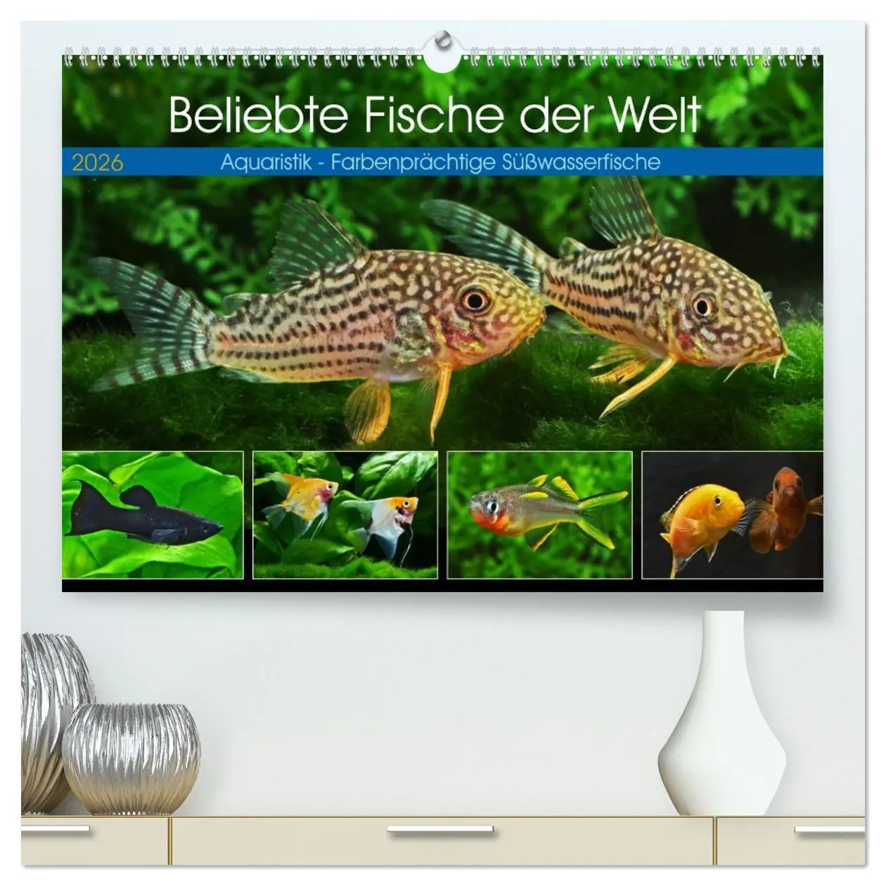 Cover: 9783457528716 | Beliebte Fische der Welt (hochwertiger Premium Wandkalender 2026...