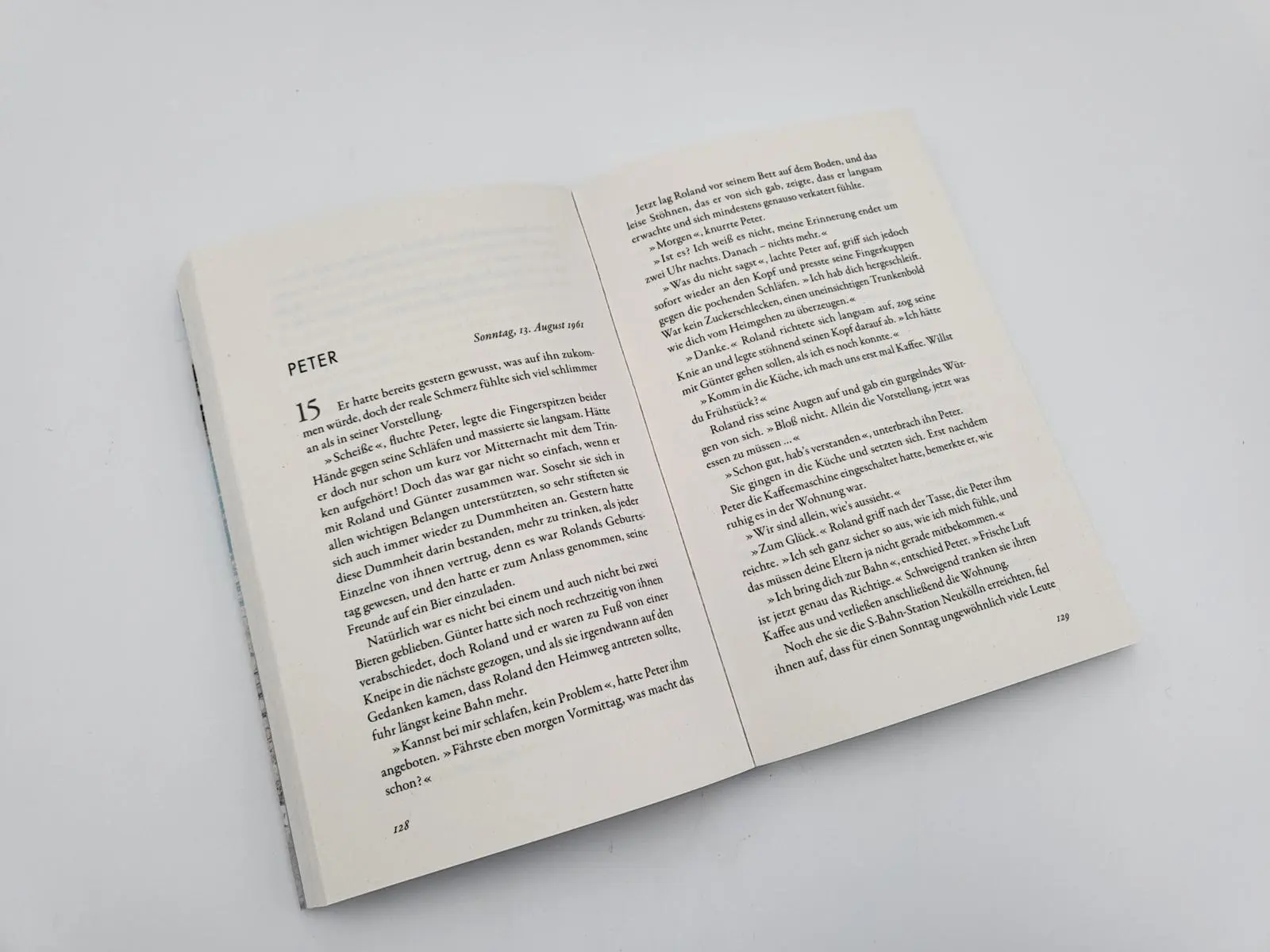 Bild: 9783492318716 | Geteiltes Land - Zwischen Angst und Freiheit | Farina Eden | Buch