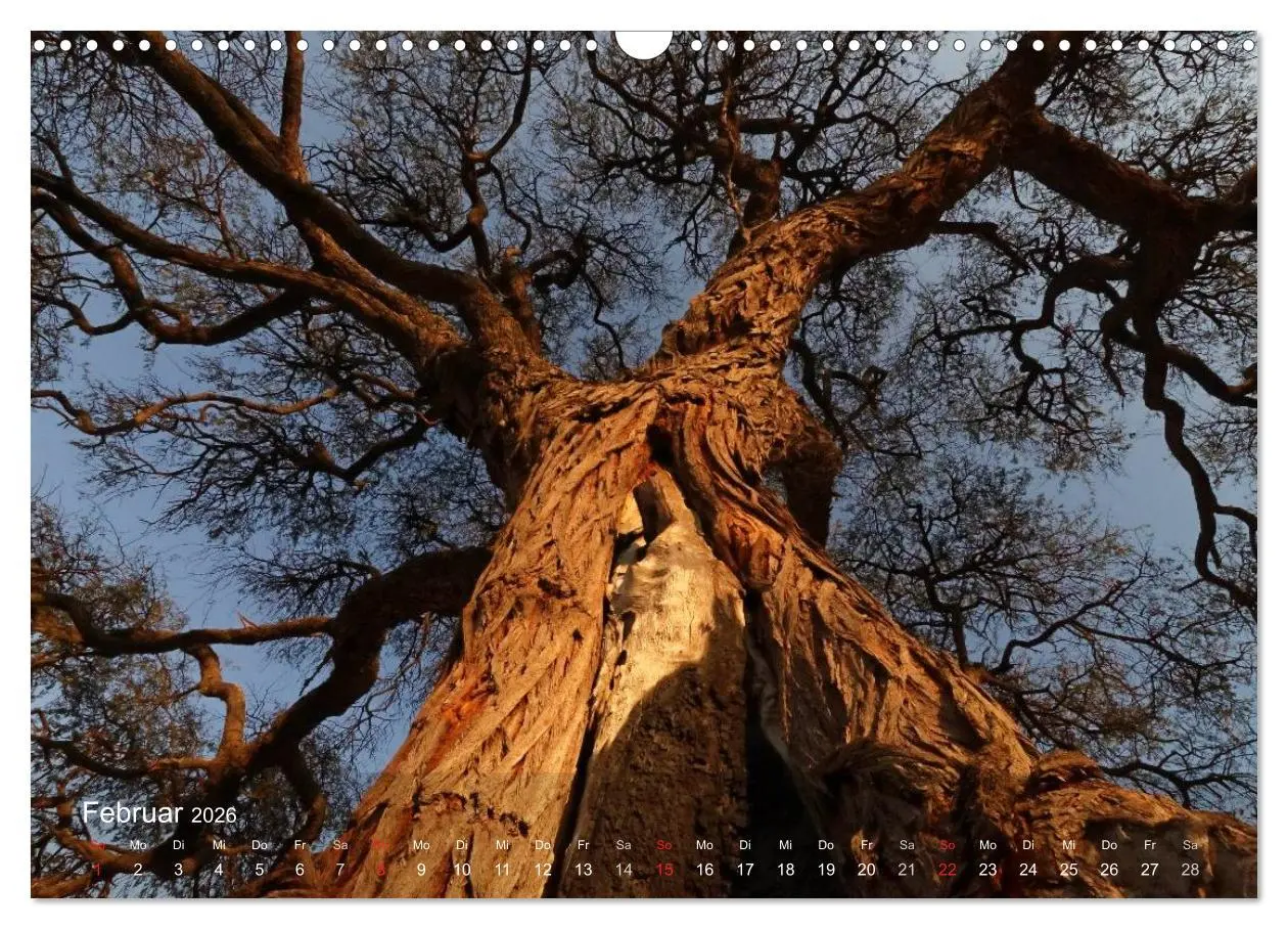 Bild: 9783516168716 | Zimbabwe (Wandkalender 2026 DIN A3 quer), CALVENDO Monatskalender