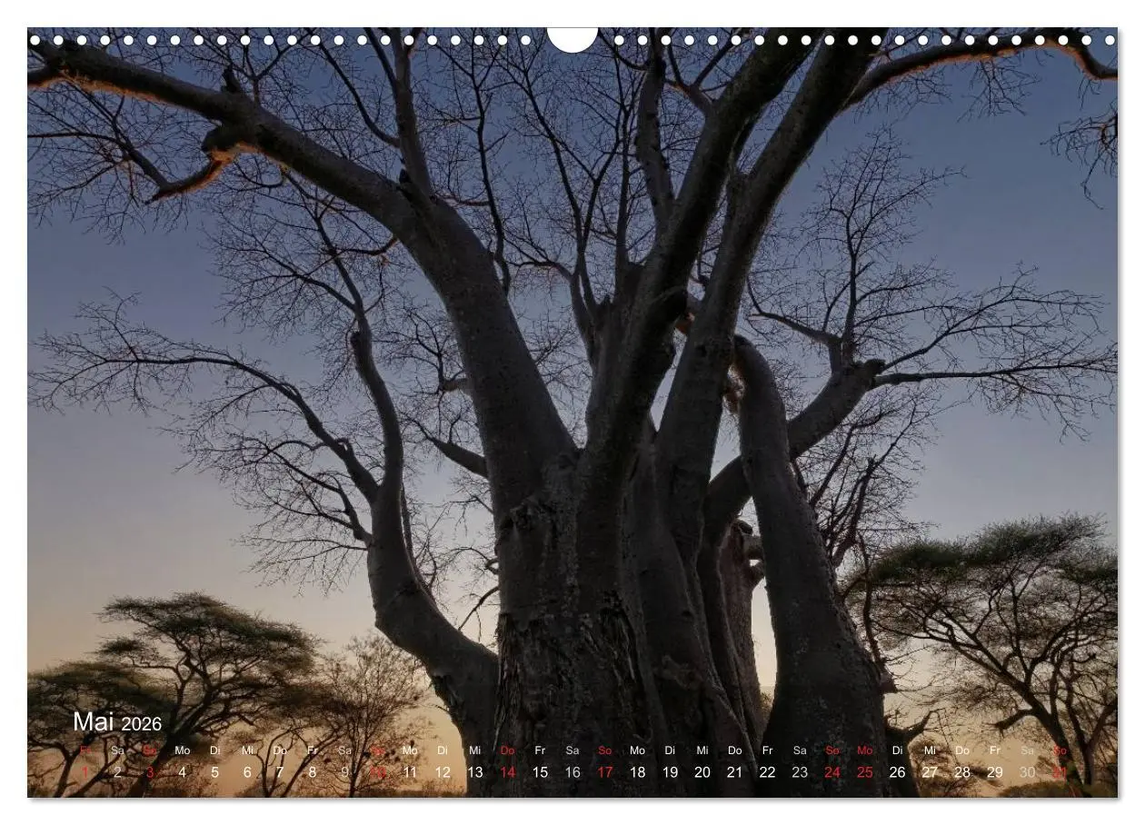 Bild: 9783516168716 | Zimbabwe (Wandkalender 2026 DIN A3 quer), CALVENDO Monatskalender