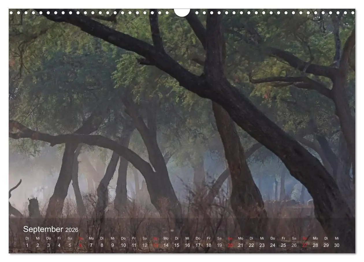 Bild: 9783516168716 | Zimbabwe (Wandkalender 2026 DIN A3 quer), CALVENDO Monatskalender