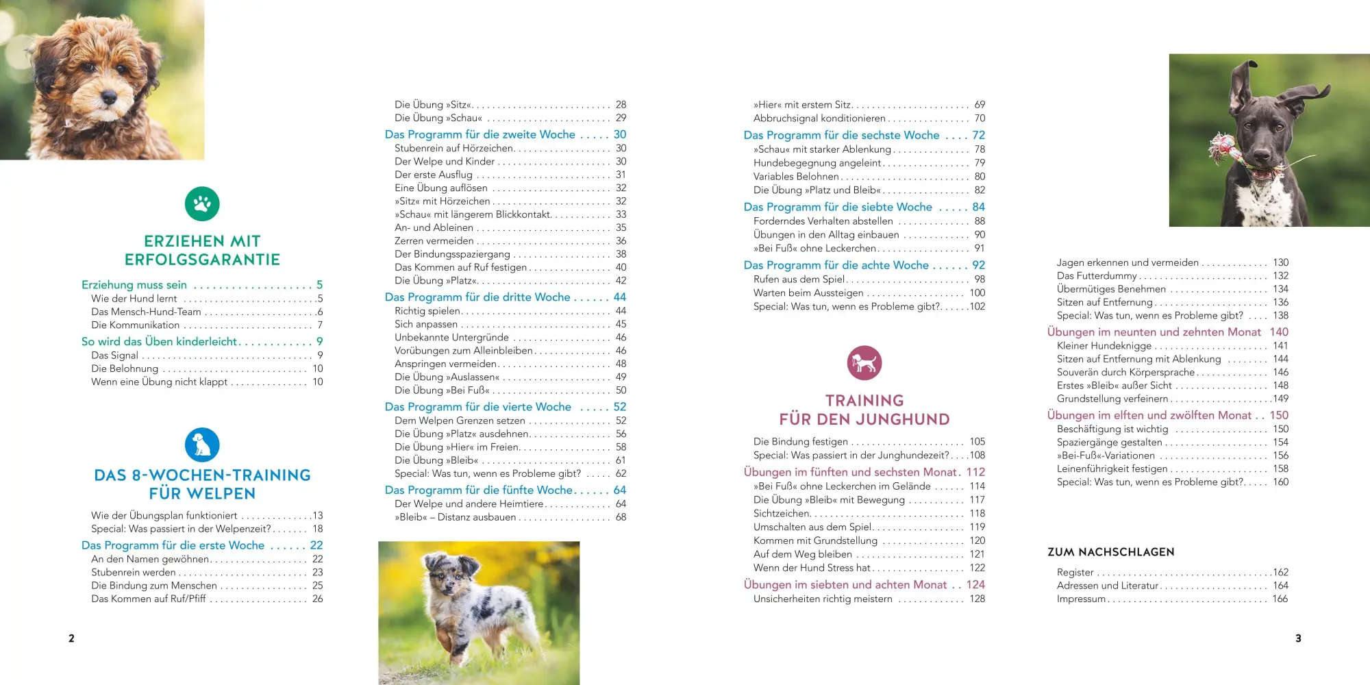 Bild: 9783833898716 | Welpen-Erziehung | Katharina Schlegl-Kofler | Taschenbuch | GU Welpen