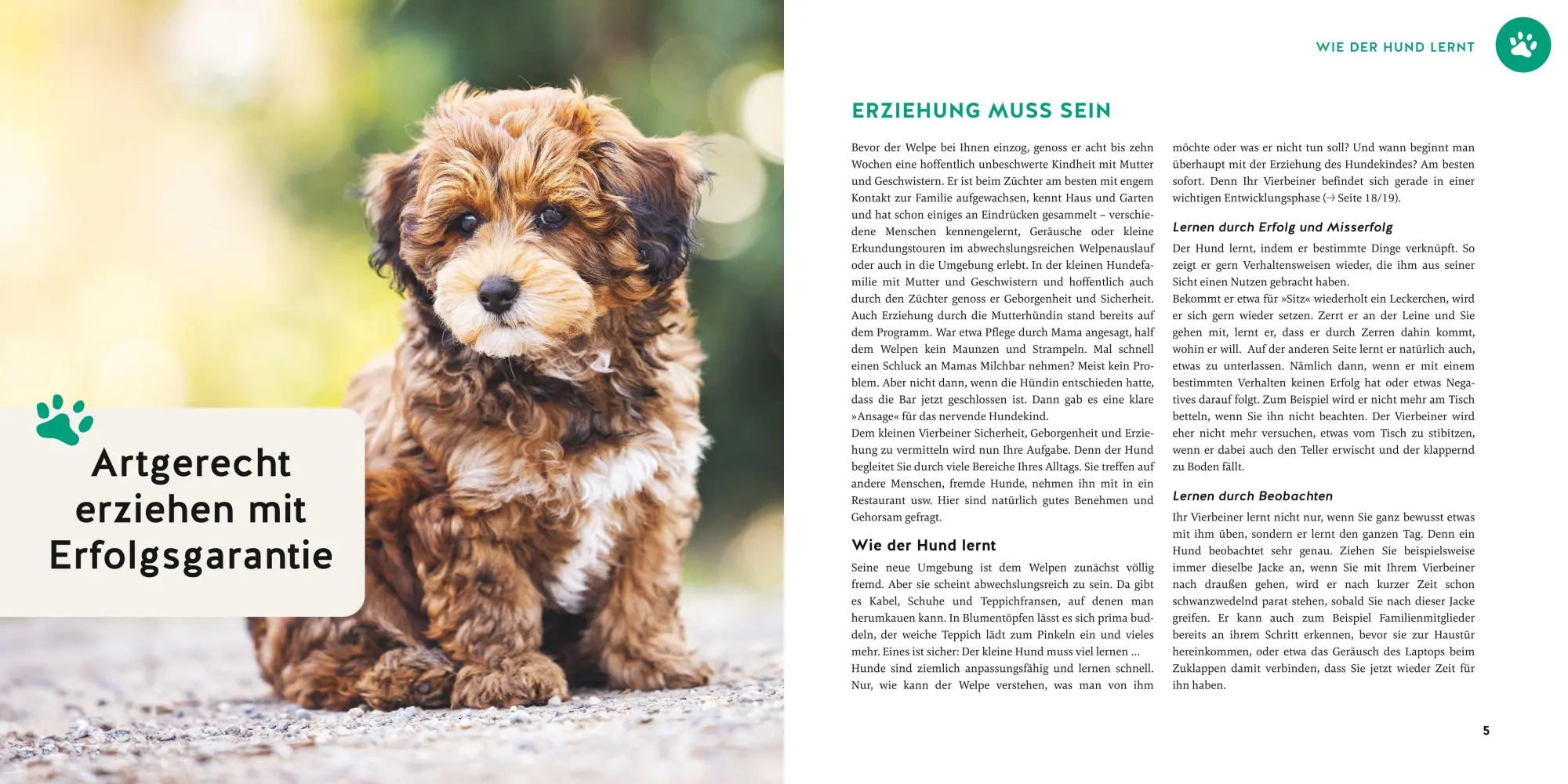 Bild: 9783833898716 | Welpen-Erziehung | Katharina Schlegl-Kofler | Taschenbuch | GU Welpen