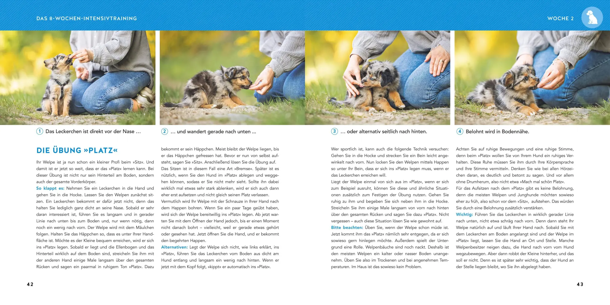 Bild: 9783833898716 | Welpen-Erziehung | Katharina Schlegl-Kofler | Taschenbuch | GU Welpen