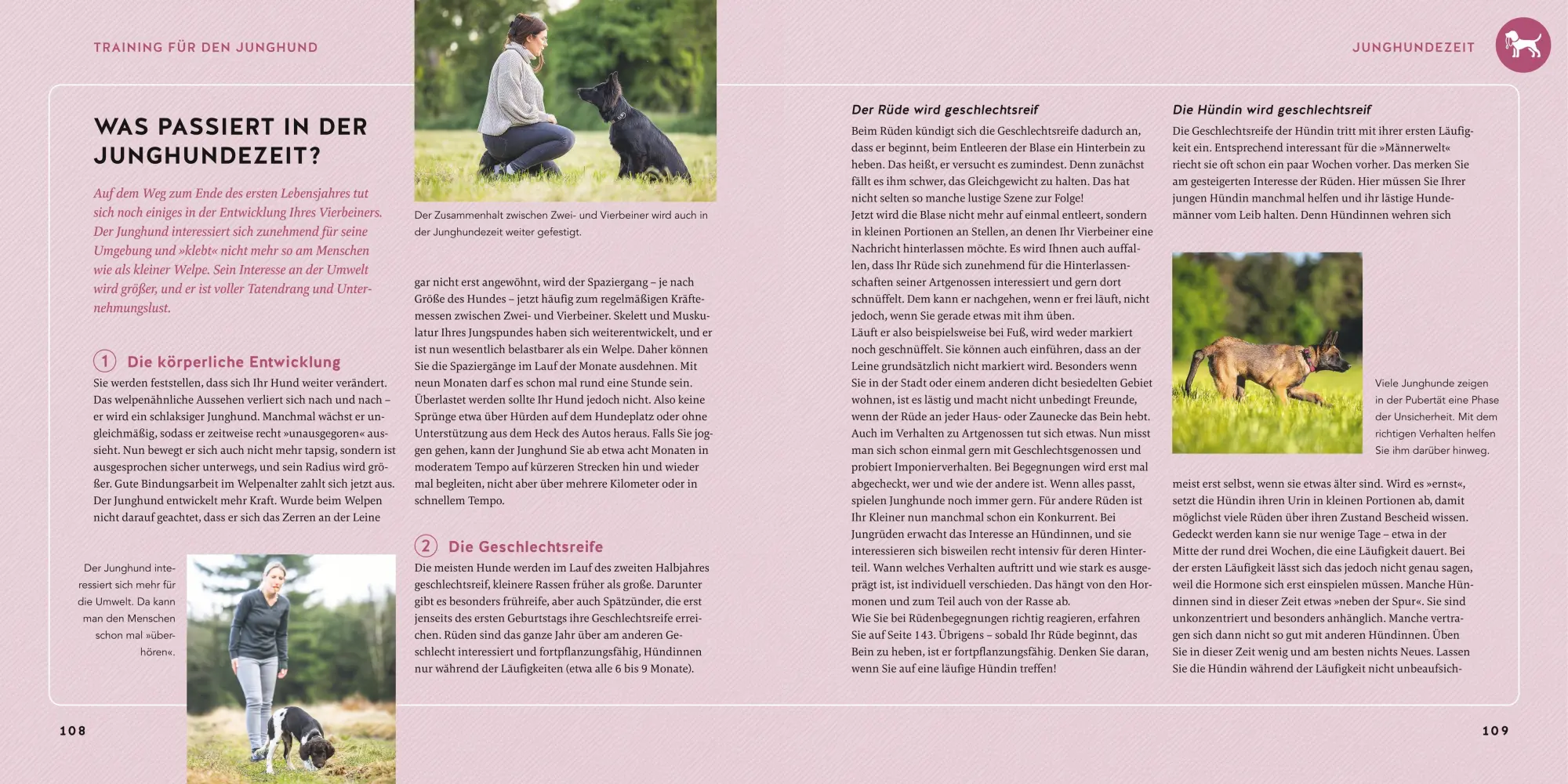 Bild: 9783833898716 | Welpen-Erziehung | Katharina Schlegl-Kofler | Taschenbuch | GU Welpen