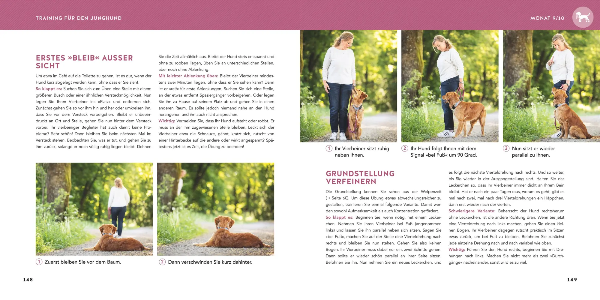 Bild: 9783833898716 | Welpen-Erziehung | Katharina Schlegl-Kofler | Taschenbuch | GU Welpen