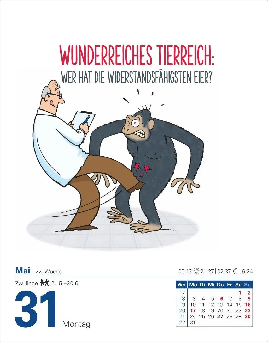 Bild: 9783840038716 | Was so nicht im Lexikon steht Tagesabreißkalender 2027 -...