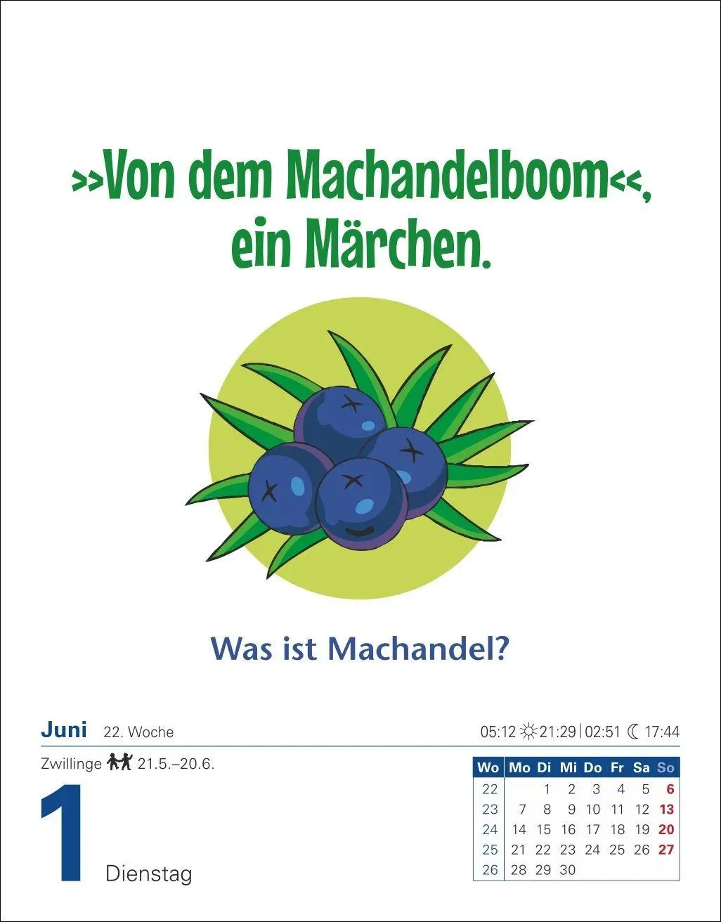 Bild: 9783840038716 | Was so nicht im Lexikon steht Tagesabreißkalender 2027 -...