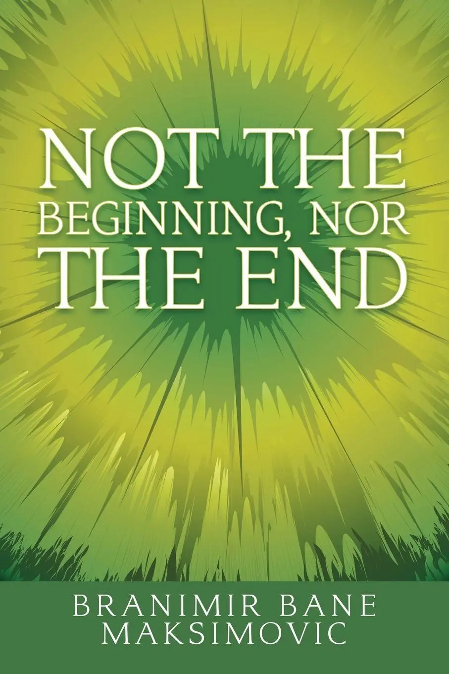 Cover: 9781504308816 | Not the Beginning, nor the End | Branimir Bane Maksimovic | Buch