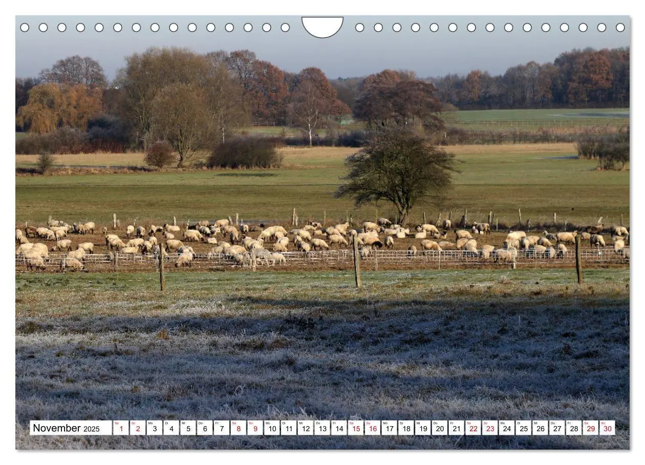 Bild: 9783435428816 | Impressionen aus Isernhagen (Wandkalender 2025 DIN A4 quer),...